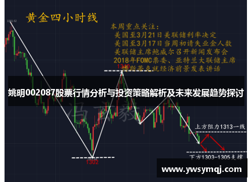 姚明002087股票行情分析与投资策略解析及未来发展趋势探讨 姚明002087股票行情分析与投资策略解析及未来发展趋势探讨