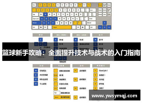 篮球新手攻略：全面提升技术与战术的入门指南