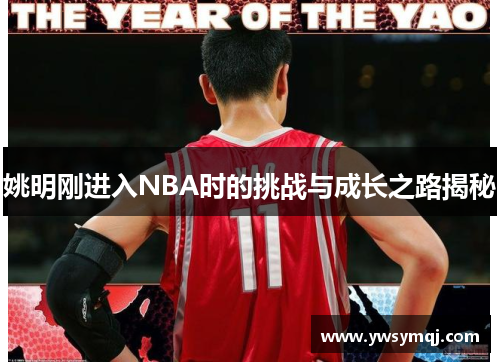姚明刚进入NBA时的挑战与成长之路揭秘